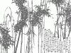 e13_004_130x65