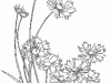 f01_069_45x70