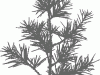 f02_024_46x60