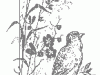 g02_013_25x105