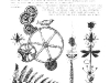 prima_clear_stamp_botanical_544935_enl